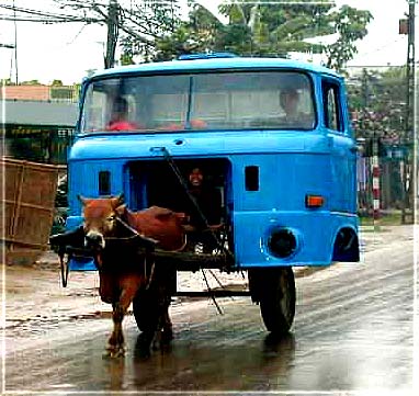 Funny picture of the day